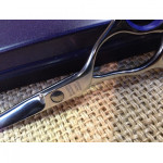 Jaguar Gold Line Advance Champion class CP4 Crane handle Convex blade  5.5" scissor.